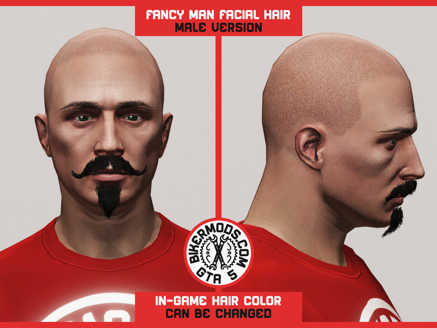 Fancy Man Facial Hair