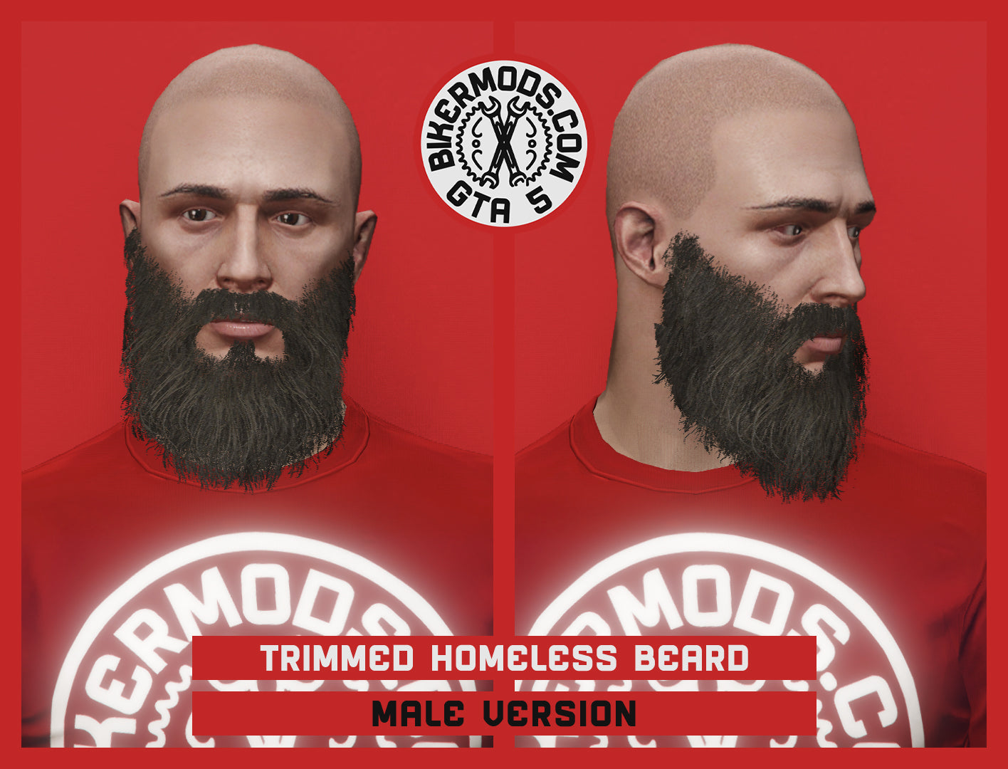 Trimmed Homeless Beard