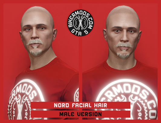 Blonde Nord Facial Hair