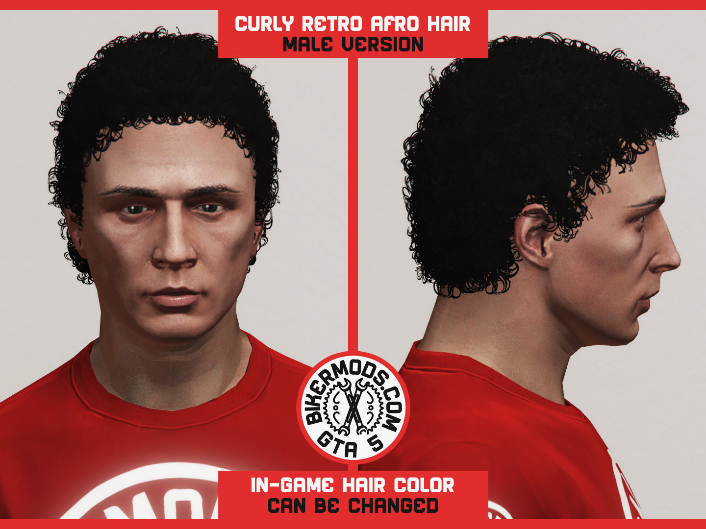 Curly Retro Afro Hair