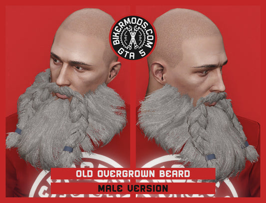 Old Overgrown Beard with Braids