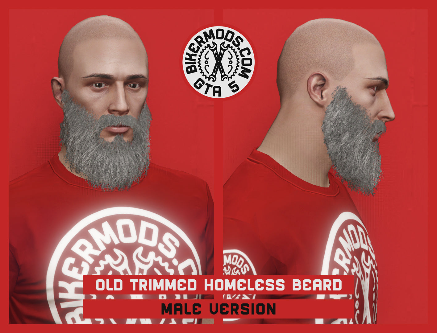Old Trimmed Homeless Beard