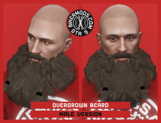Overgrown Beard with Braids