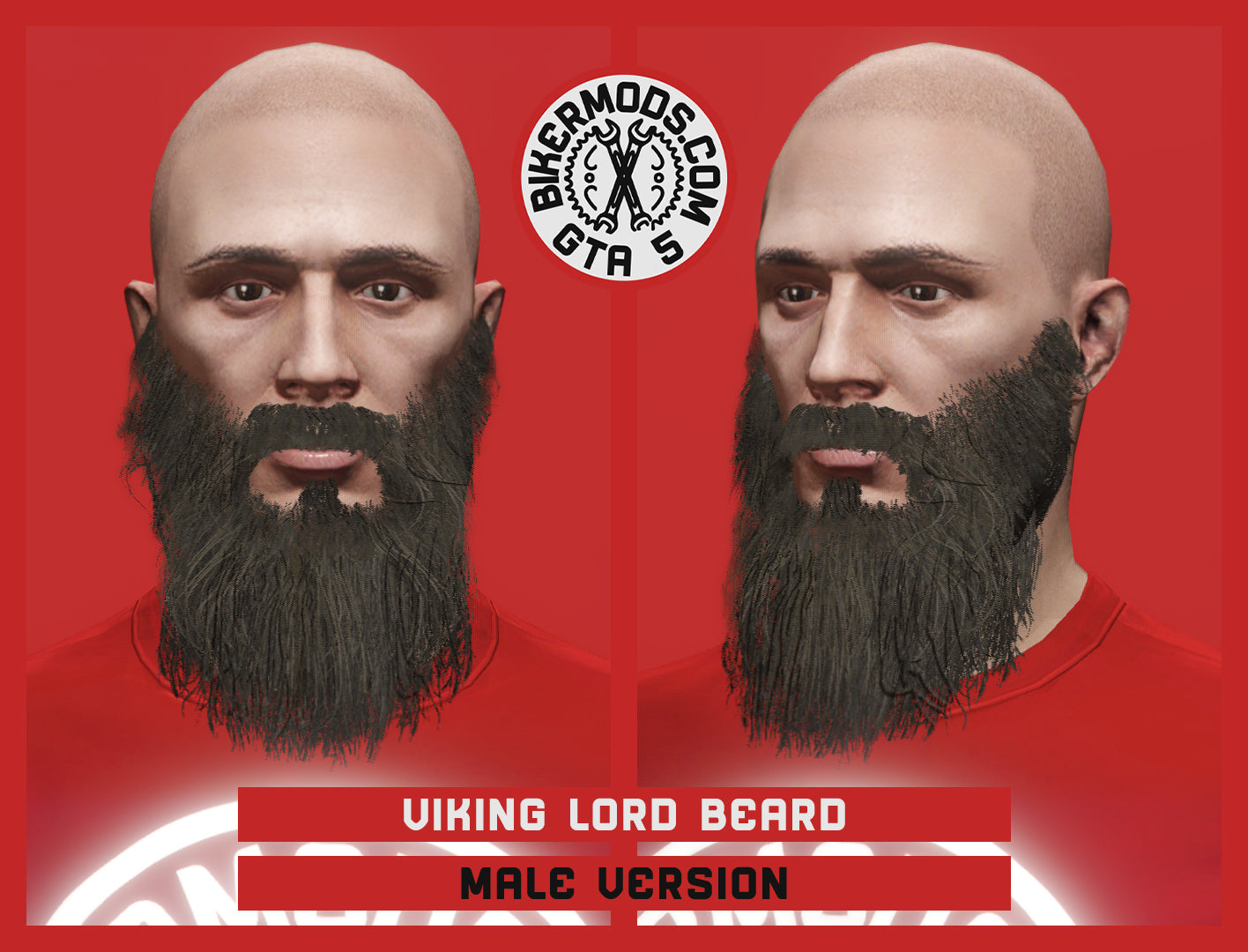 Viking Lord Beard