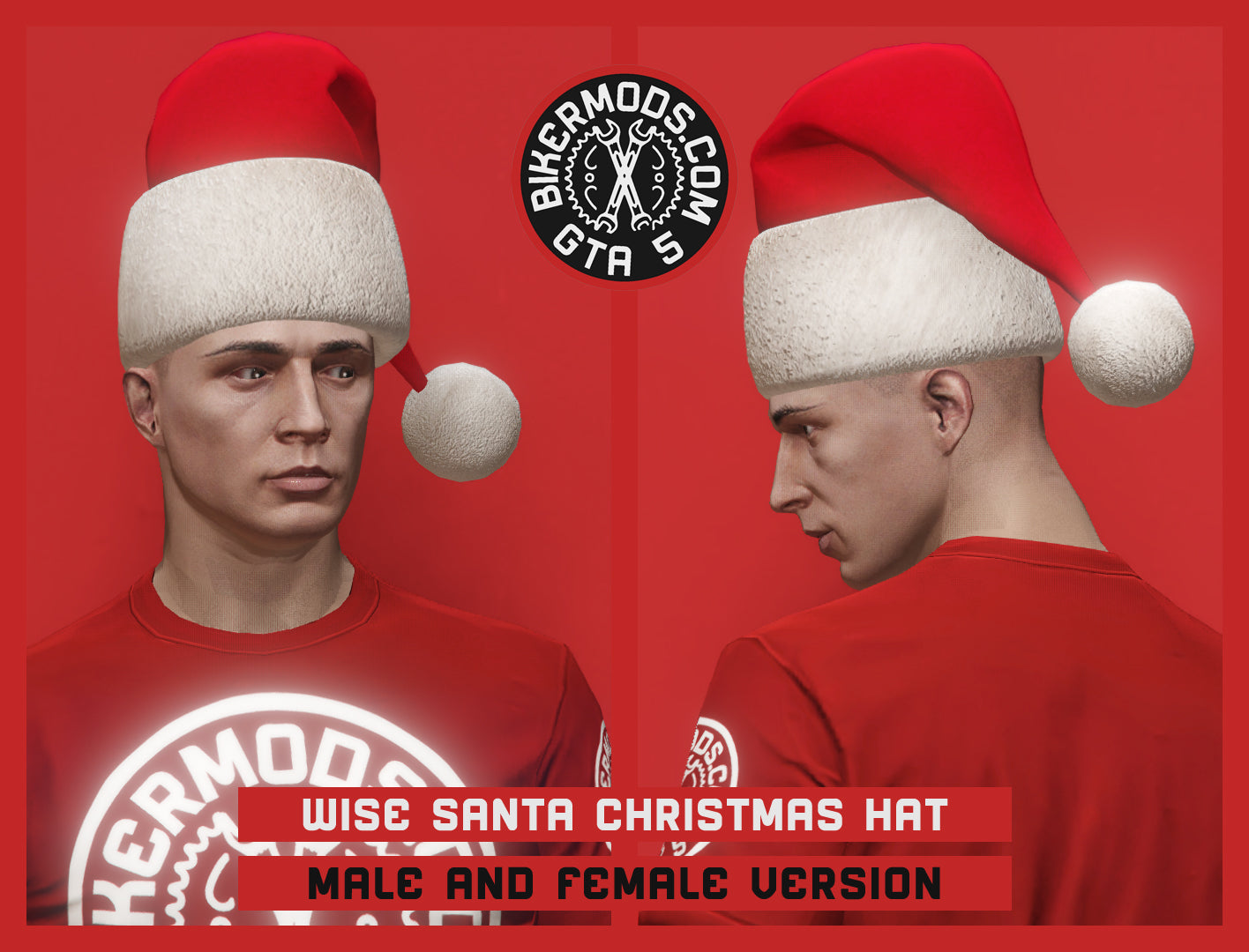 Wise Santa Christmas Hat